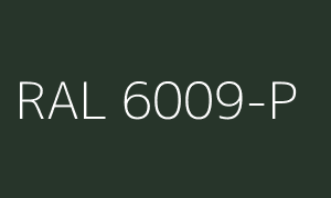 Färg RAL 6009-P
