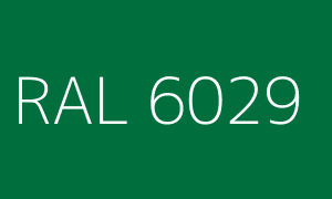 Färg RAL 6029